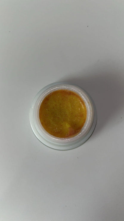 RoachKill Pro Gel – Cockroach Killer (Pack of 2)